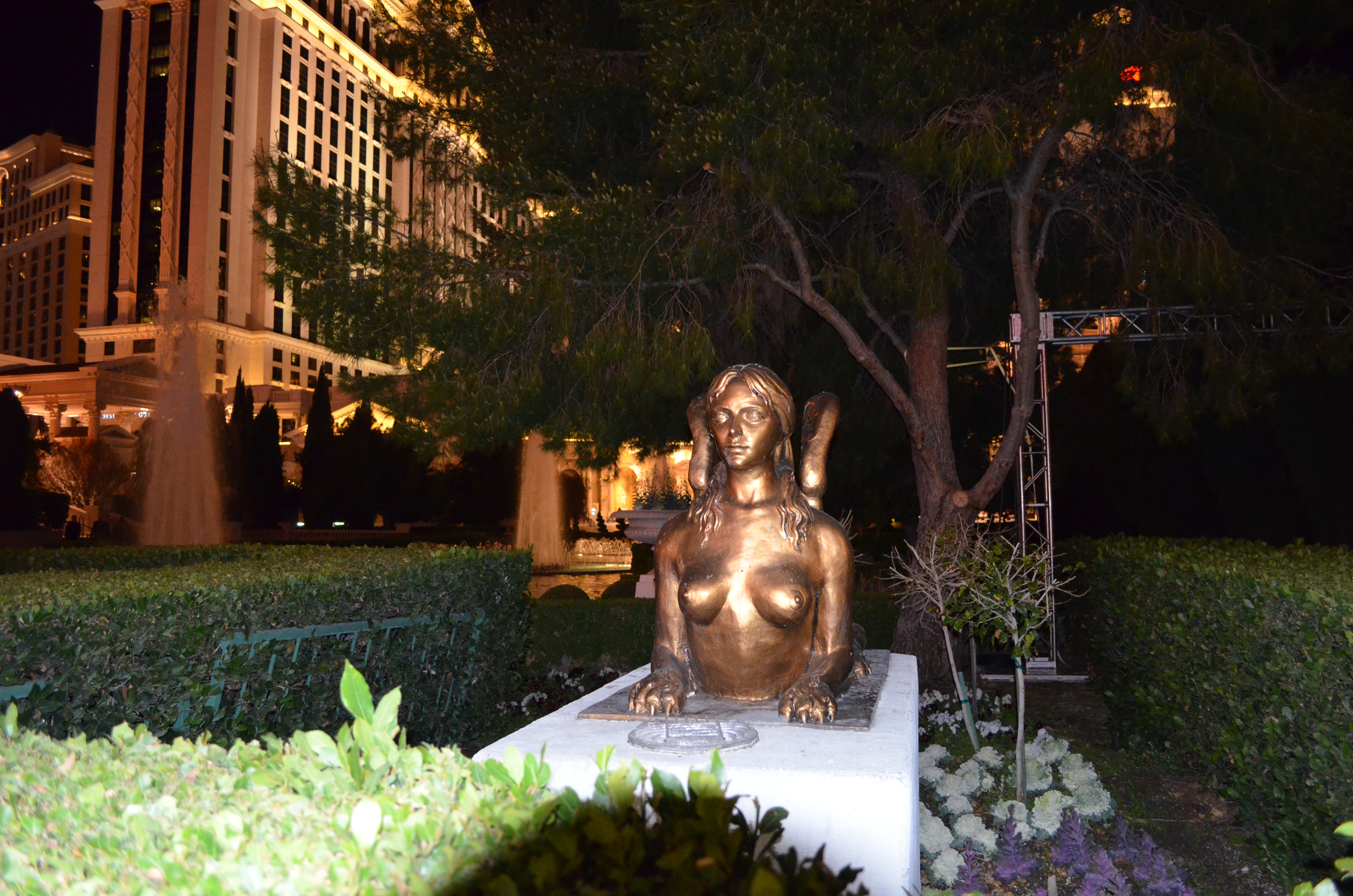 ./2016/04 - Las Vegas/Miscellaneous/DSC_0142.JPG